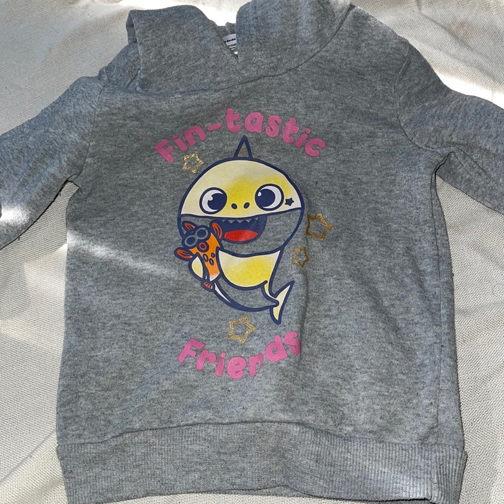 CUTE Toddler Girl Hoodie